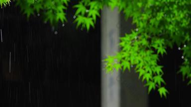 <strong>江南</strong>雨季中式园林屋檐雨滴空镜